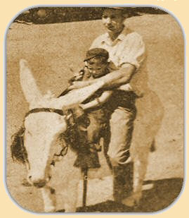 Mule Ride