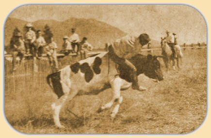 Calf Riding